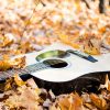Bulletin météo pour guitares & basses